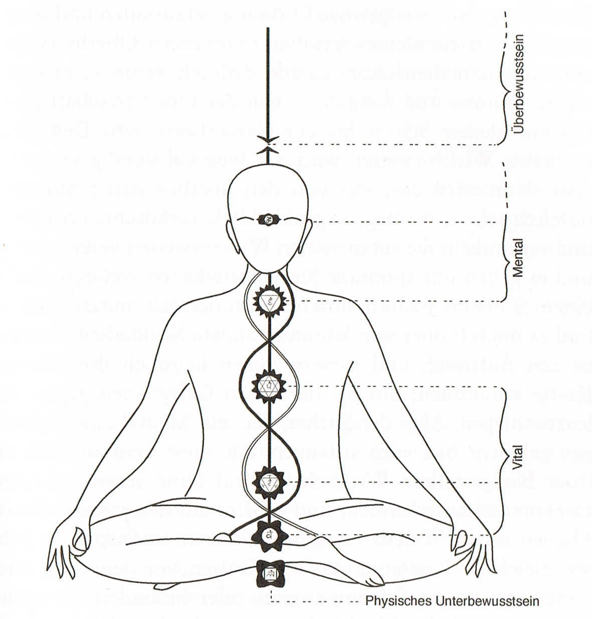 Quelle 
Satprem | Sri Aurobindo oder Das Abenteuer des Bewusstseins, S. 67.