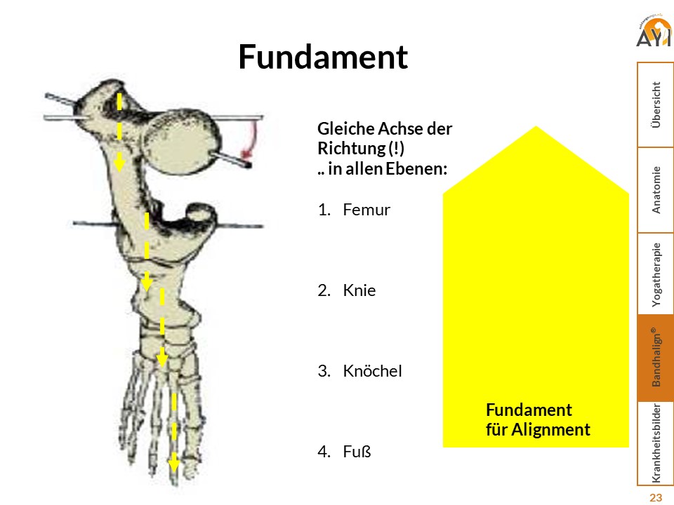 Fußmittelachse, Mitte Knöchel, Oberschenkel sollen in die gleiche Richtung weisen