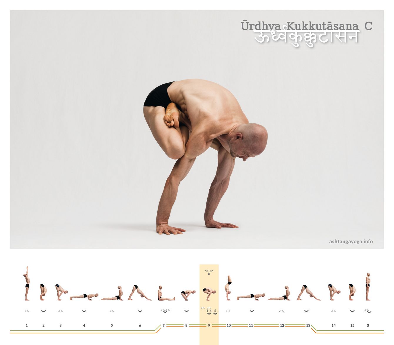 Urdhva Kukkutasana B In the 'Upward-facing Rooster' pose version B (Urdhva Kukkutasana B), energy is directed upwards while the legs in lotus balance on the upper arms. This variation requires heightened attention and a fine sense of balance.