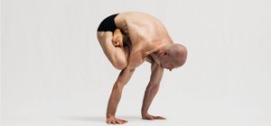 Urdhva Kukkutasana B