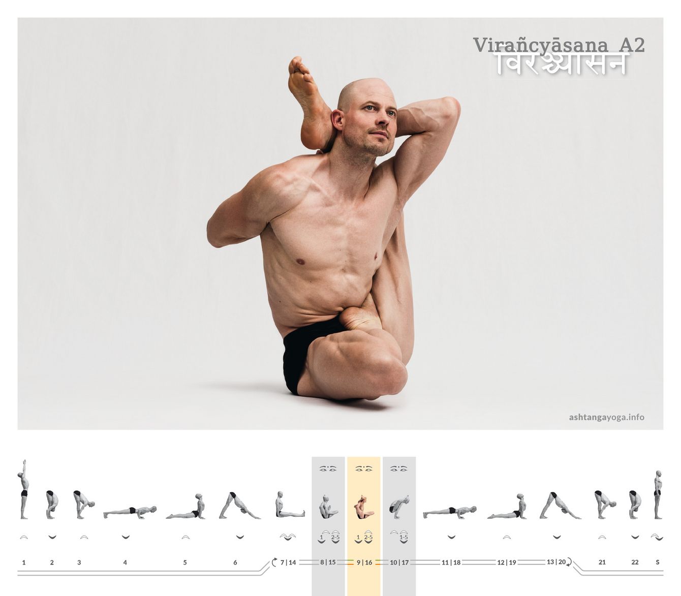 From Virañcyāsana A1, A2 emerges: the arms bind behind the back and the gaze lifts. Precise alignment makes the form stable—not strength, but organization carries the posture.