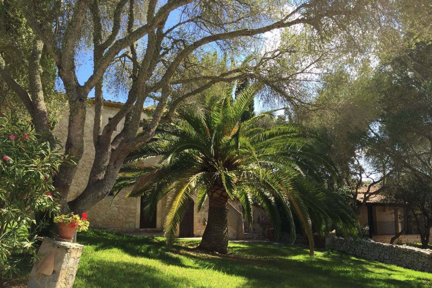 Mallorca Die grüne Sonneninsel