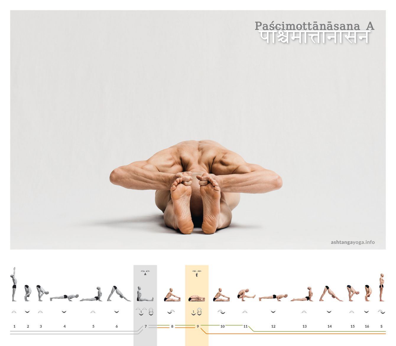 In der „Sitzenden Vorbeuge“ legt der Übende seinen Oberkörper über die im Langsitz nach vorne gestreckten Beine. In Variante A halten Zeige- und Mittelfinger die große Zehe - Paschimottanasana. 