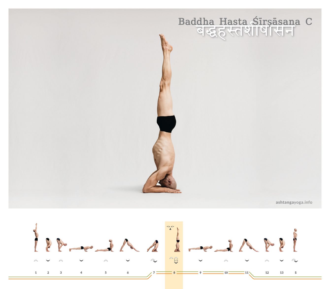 Baddha Hasta Shirshasana C In der dritten Version des “Kopfstandes mit Händen zusammen” liegen die Unterarme, mit den Handflächen zum Boden weisend, links und rechts neben dem Kopf - Baddha Hasta Shirshasana.