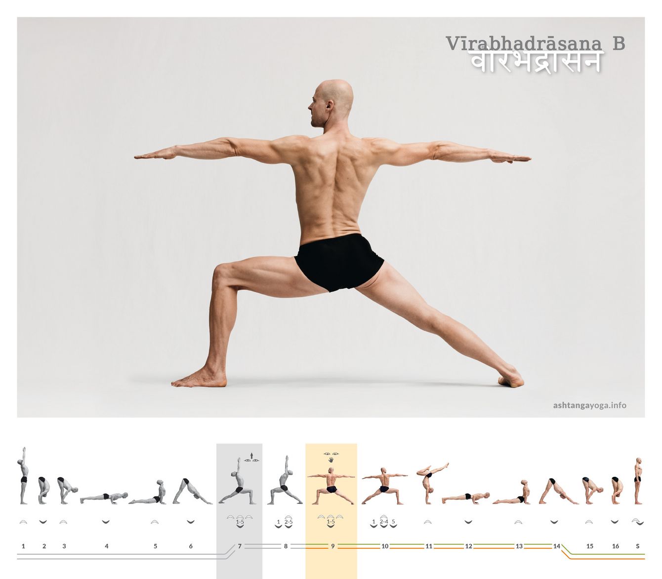 With the transition from  Virabhadrasana A to B the practitioner widens their step, lowers the arms stretching them horizontally to either side. This pose is also known as – "the powerful warrior pose“