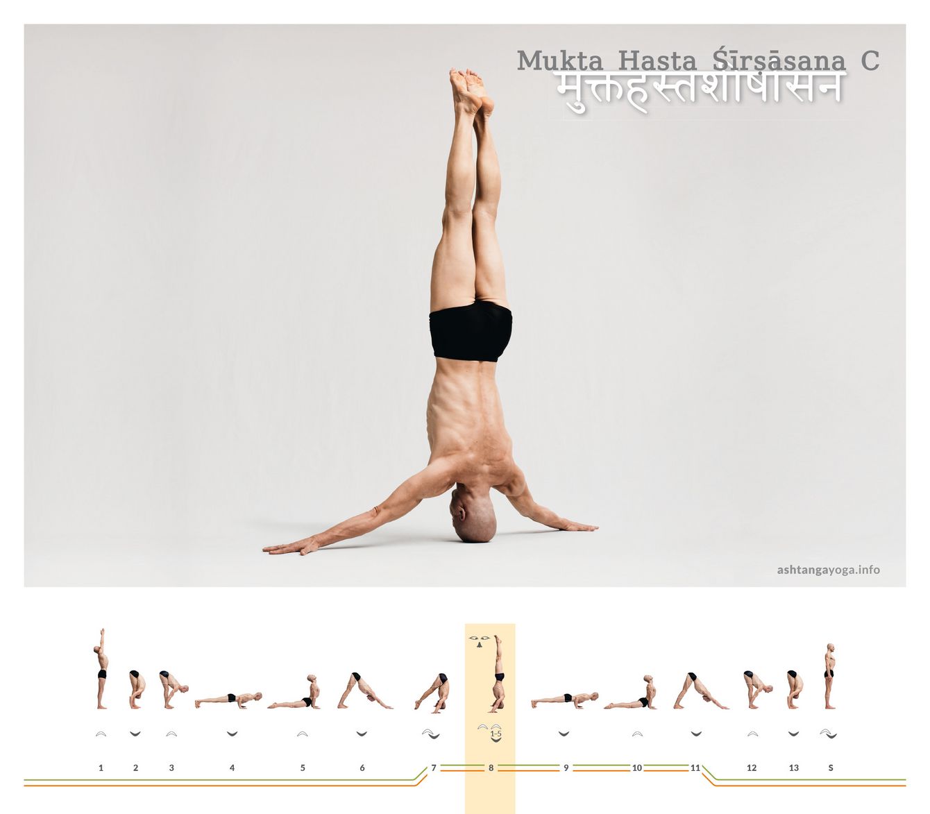 Mukta Hasta Shirshasana C In der dritten Version befinden sich beim “Kopfstand mit frei stehenden Händen” die Handflächen auf dem Boden. Die Arme sind gestreckt und zur Seite ausgebreitet. - Mukta Hasta Shirshasana.