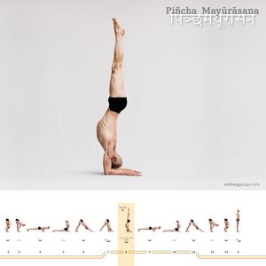 Pincha Mayurasana
