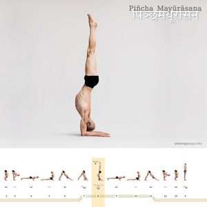 Pincha Mayurasana