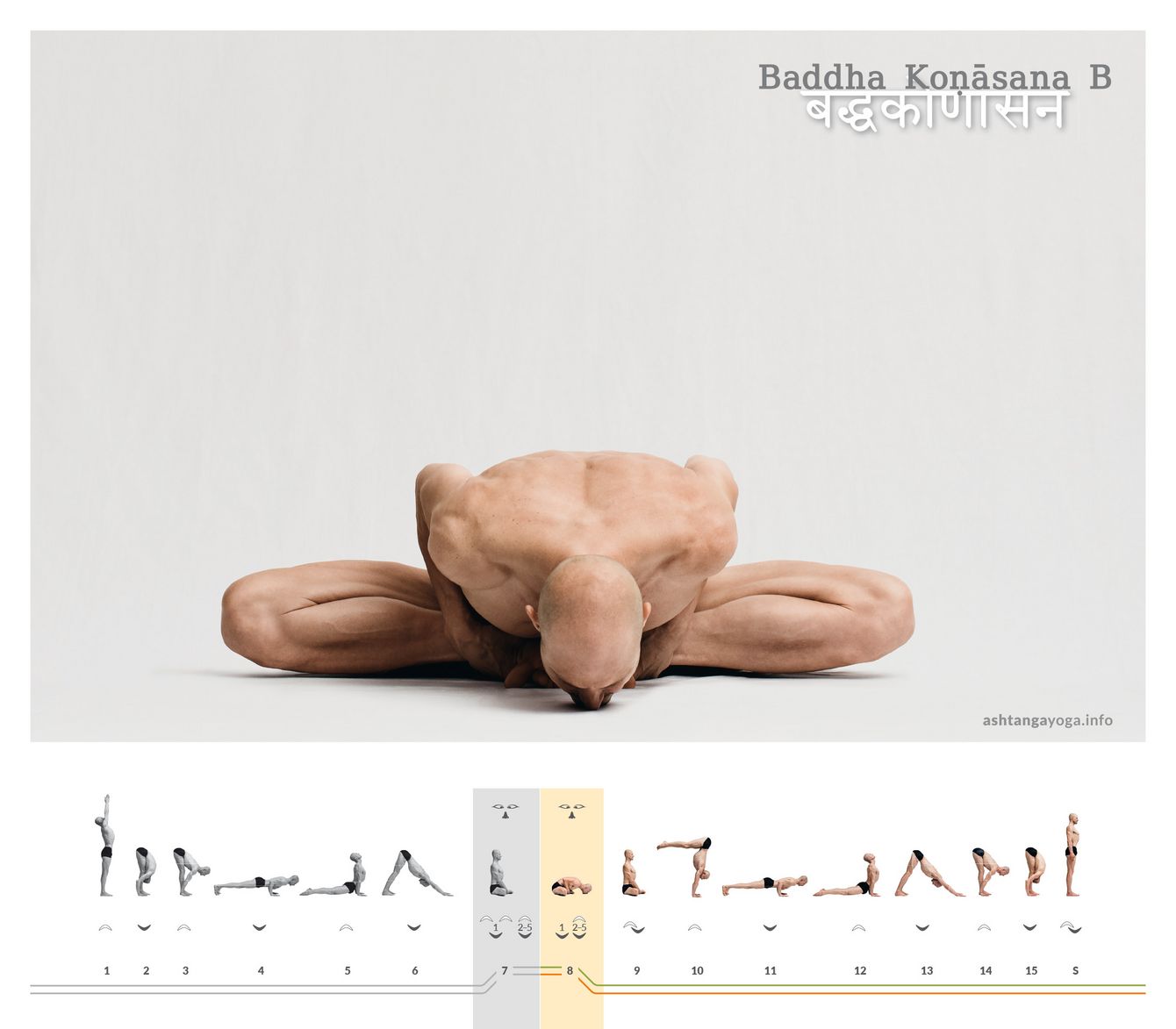 Die zweite Version der “Gebundenen Winkelhaltung”, Baddha Konasana B, baut auf der ersten auf. Der Oberkörper klappt nun möglichst flach nach vorne ab, bis schließlich der Bauchnabel die Fersen berührt. 