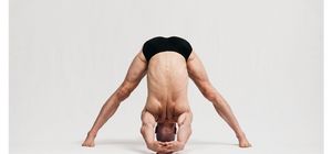 Prasarita Padottanasana C