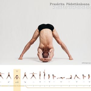 Prasarita Padottanasana C