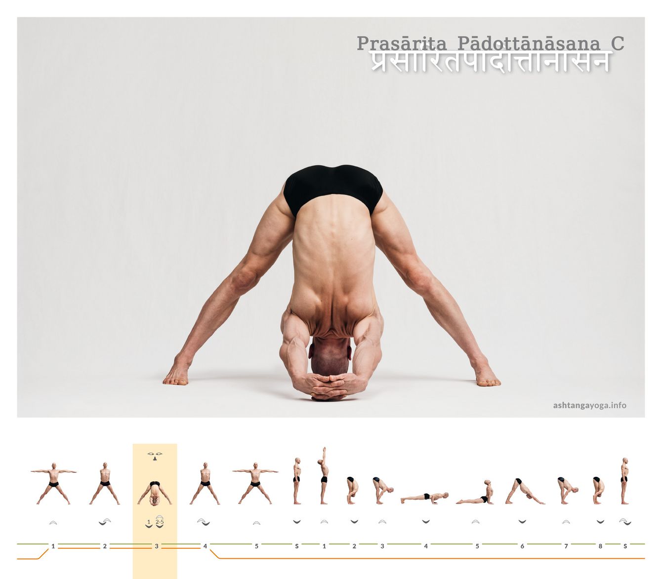 In der dritten Version der “Ausgestreckten Haltung mit ausgebreiteten Füßen” befinden sich die Füße etwa in einer Körperlänge Abstand und der Oberkörper in einer Vorbeuge. Die Hände fassen sich hinter dem Rücken und strecken sich von dort bis zum Boden - Prasartia Padottanasana.