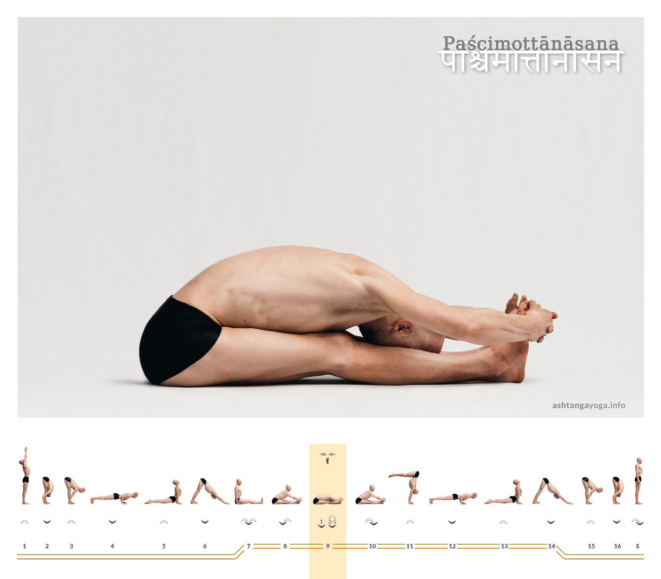 Pashchimottanasana An dieser Stelle der Serie des Ashtanga Yoga ist die „Sitzenden Vorbeuge“ die Gegenhaltung zur vorherigen intensiven Rückbeuge - Paschimottanasana.