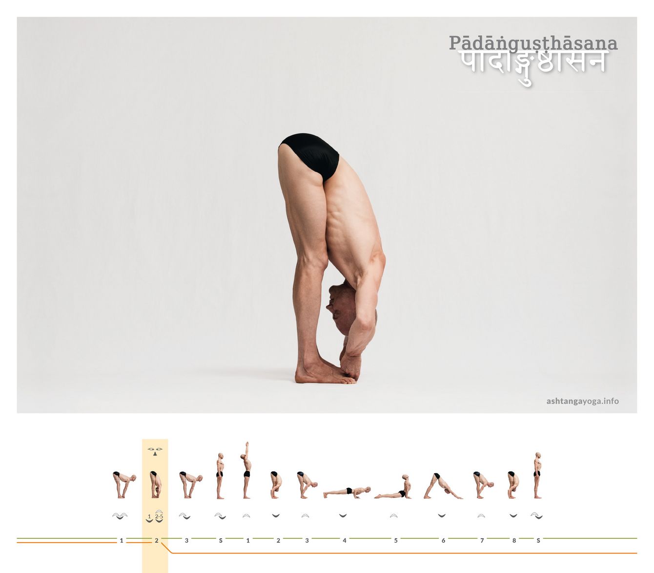 Padangushthasana Die „Haltung des Großzehgreifens“ ist eine stehende Vorbeuge. Die Füße sind etwa einen Spann breit auseinander, der Griff geht, wie der Name beschreibt, zu den großen Zehen - Padangushthasana.