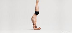 Shirshasana C