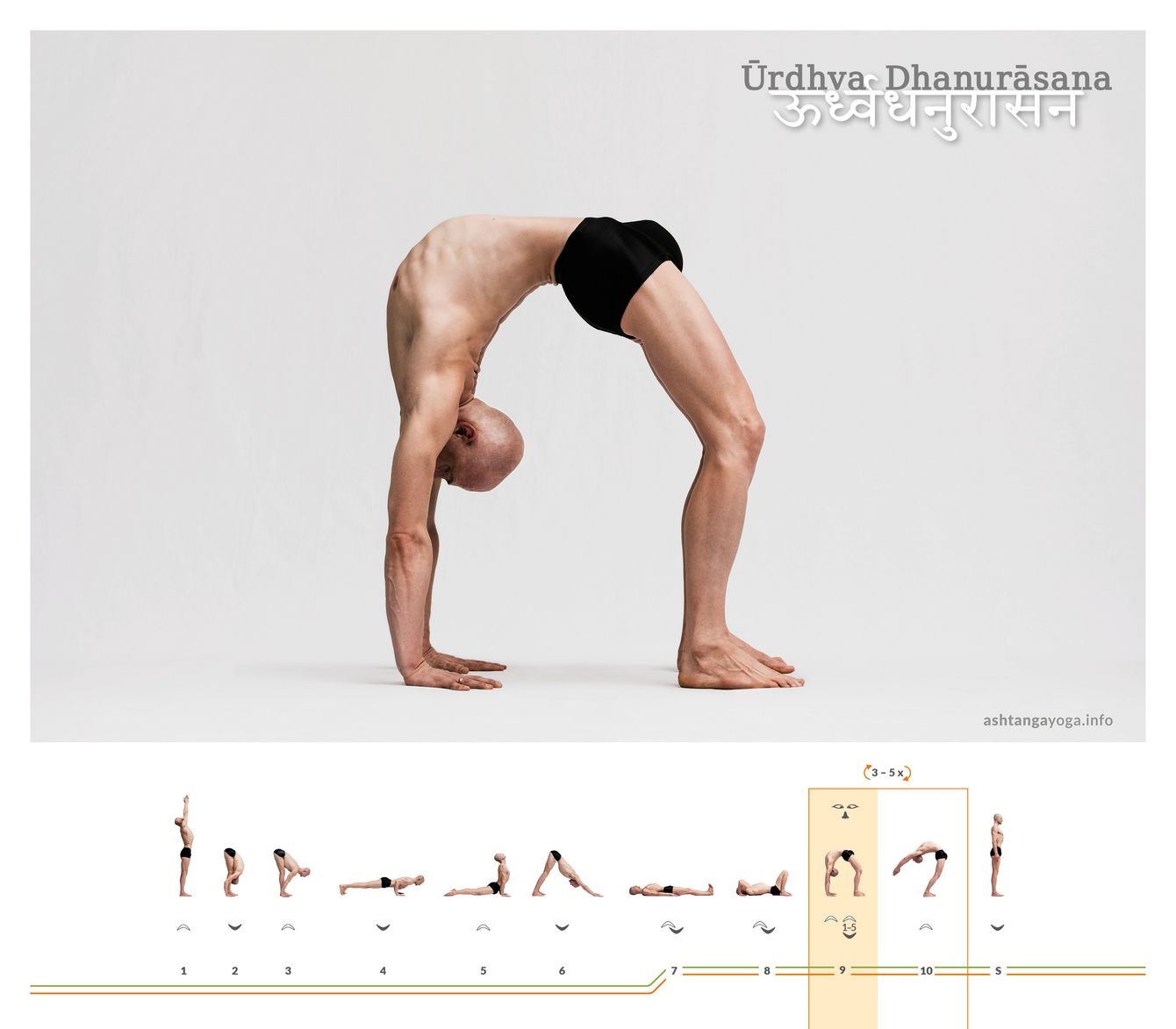 Urdhva Dhanurasana Der “Nach oben gerichtete Bogen” ist eine Rückbeuge mit nach oben weisender Körpervorderseite. Nur die Hände und Füße berühren den Boden - Urdhva Dhanurasana.