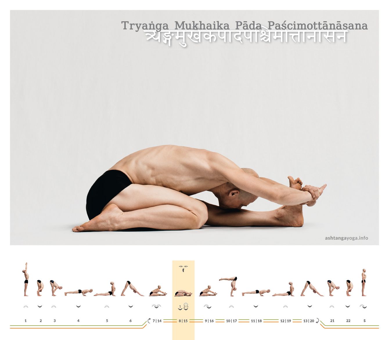 In the asymmetrical seated posture Try-anga Mukhaika Pada Paschimottanasana one leg is extended while the other is bent tight in internal rotation and the foot close to the outside of the pelvis. The knees touch. 