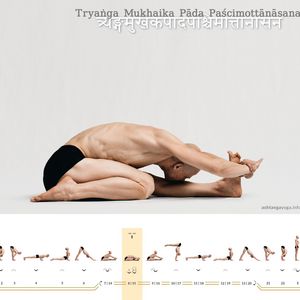 Tryanga Mukhaika Paada Pashchimottanasana