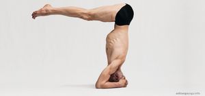 Shirshasana B