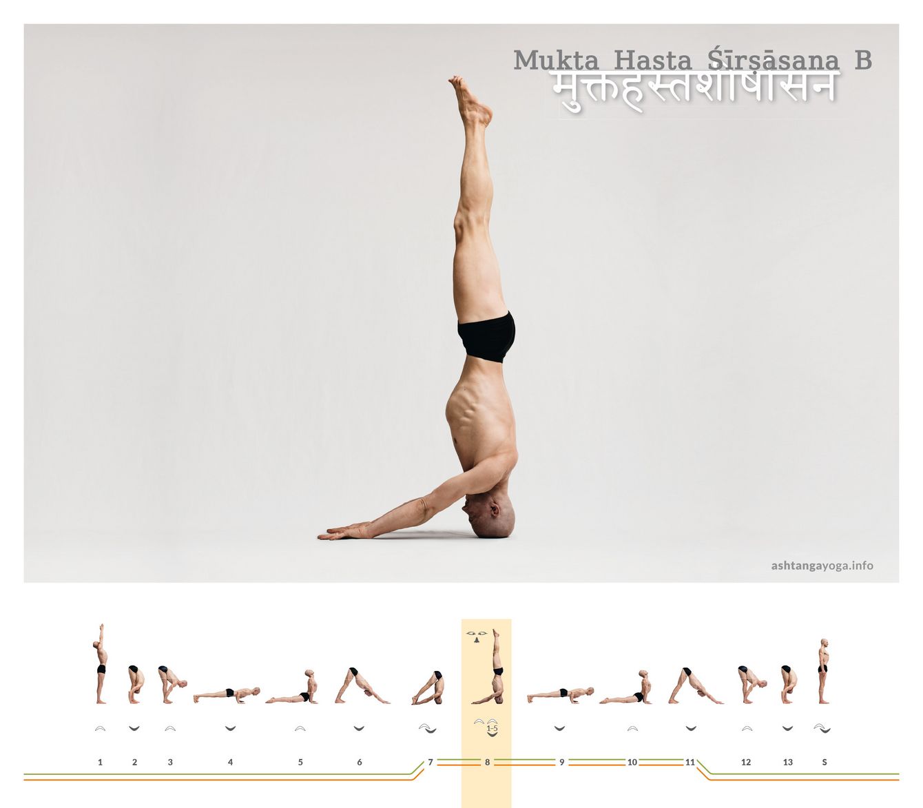 Mukta Hasta Shirshasana B In der zweiten Version befinden sich beim “Kopfstand mit frei stehenden Händen” die Handrücken auf dem Boden. Die Arme sind gestreckt. Die Daumen berühren sich - Mukta Hasta Shirshasana.