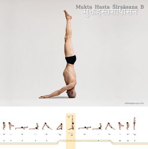 Mukta Hasta Shirshasana B