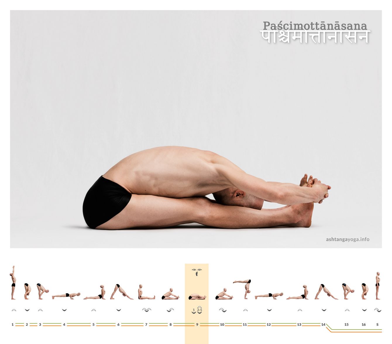 Pashchimottanasana In the third series of Ashtanga Yoga, the practice concludes after the backbend with the classic "Seated Forward Bend" - Paschimottanasana.