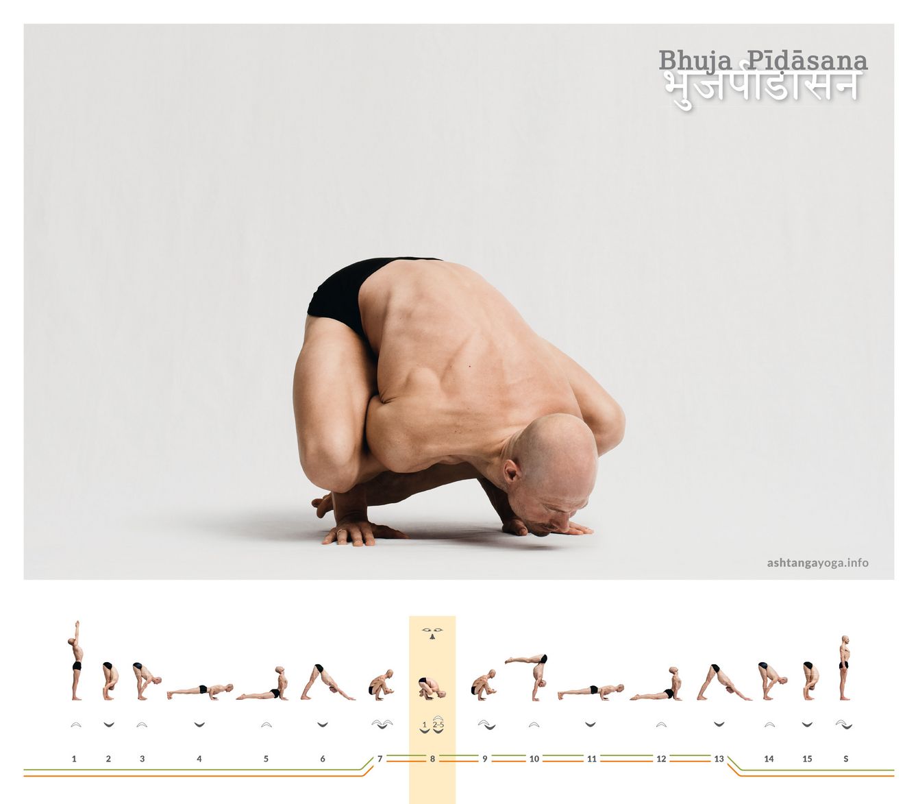 Bhuja Pidasana In Bhuja Pidasana übertragen die seitlich über die Oberarme gelegten Oberschenkel das gesamte Körpergewicht auf die Arme, während das Kinn dicht über dem Boden schwebt.