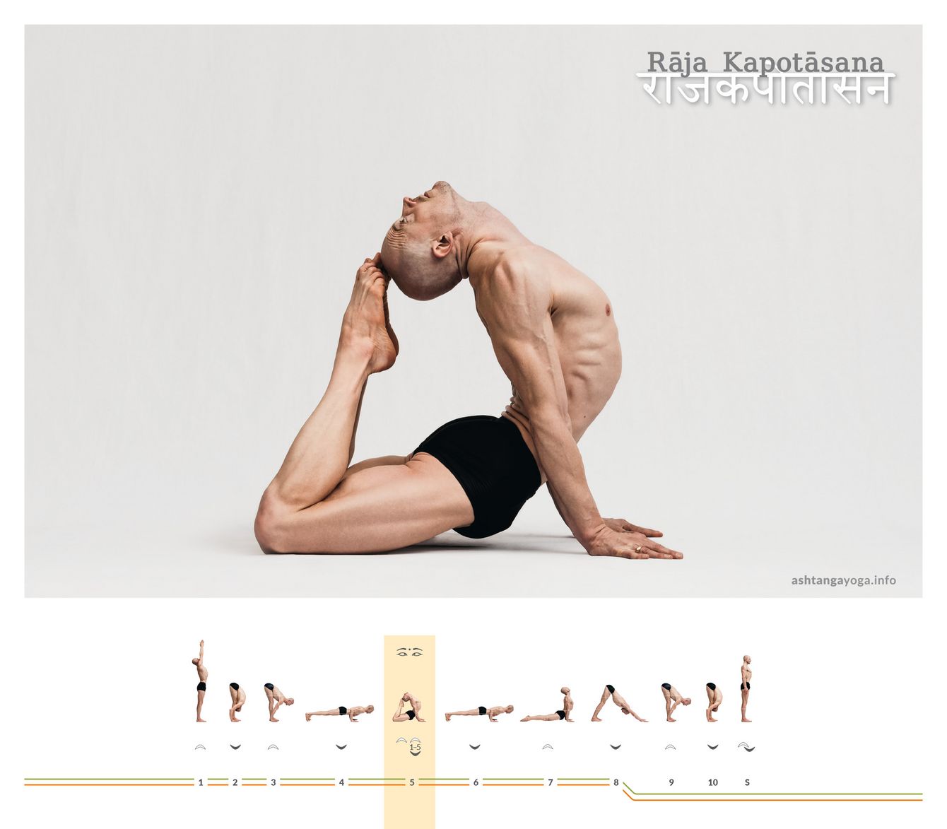 From prone into a deep backbend: Rāja Kapotāsana, the “royal pigeon,” opens hip flexors, chest, and shoulders at the same time.