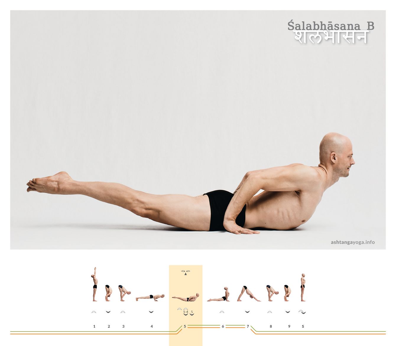 Shalabhasana B Die “Heuschrecke” ist eine auf der Bauchlage aufbauende Rückbeuge. In der zweiten Version sind die Arme gebeugt mit den Handflächen nach vorne weisend neben dem Becken auf dem Boden - Shalabhasana.