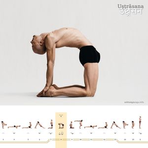 Ushtrasana