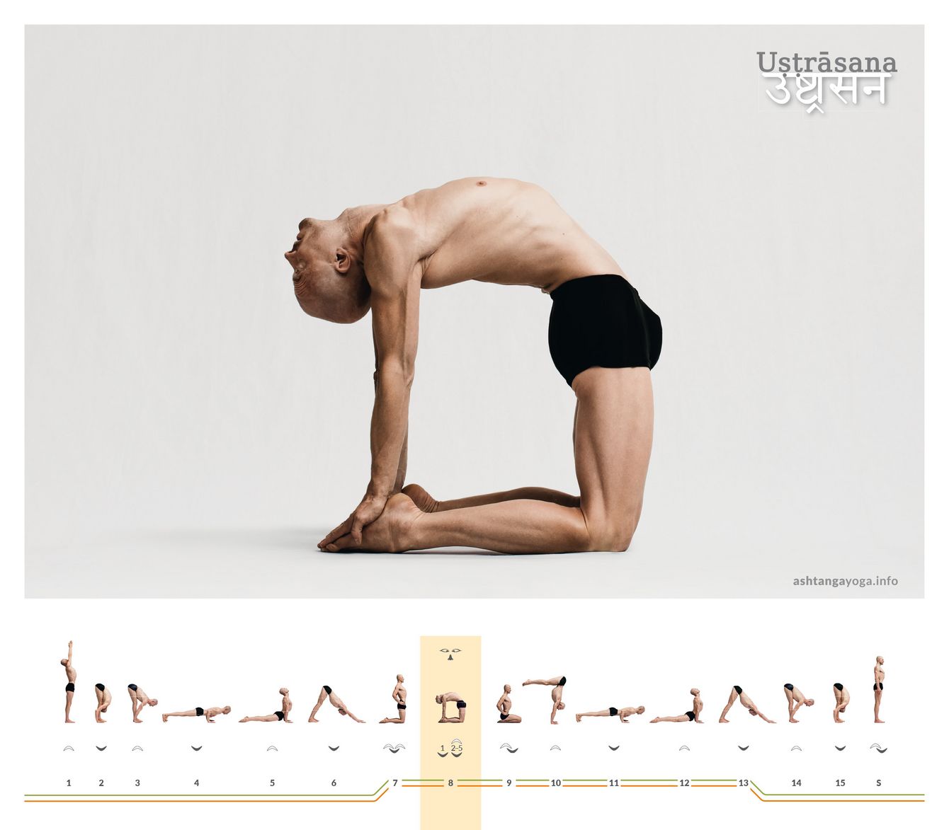 Ushtrasana Das “Kamel” ist eine Rückbeuge aus dem hohen Kniestand. Die Brust wölbt sich nach oben. Die Arme strecken sich senkrecht nach hinten. Die Hände fassen die Fußsohlen - Ushtrasana.