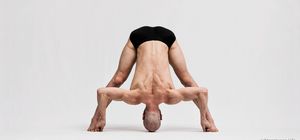 Prasarita Padottanasana D