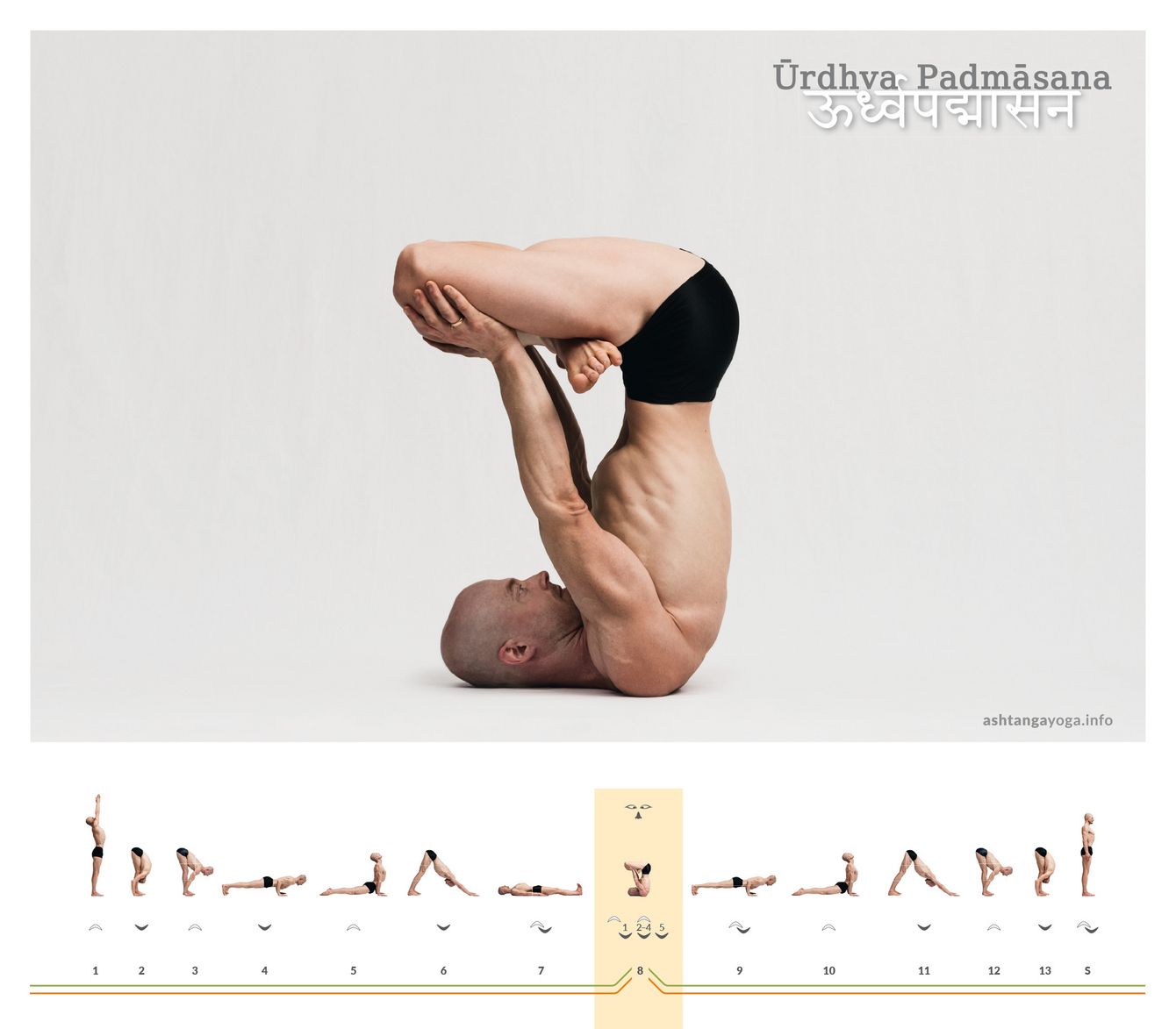 Der “Nach oben gerichtete Lotus” ist im Wesentlichen ein Lotussitz, auf den Schultern balancierend. Die geraden Arme helfen dem Rücken, ebenso gerade zu werden - Urdhva Padmasana.