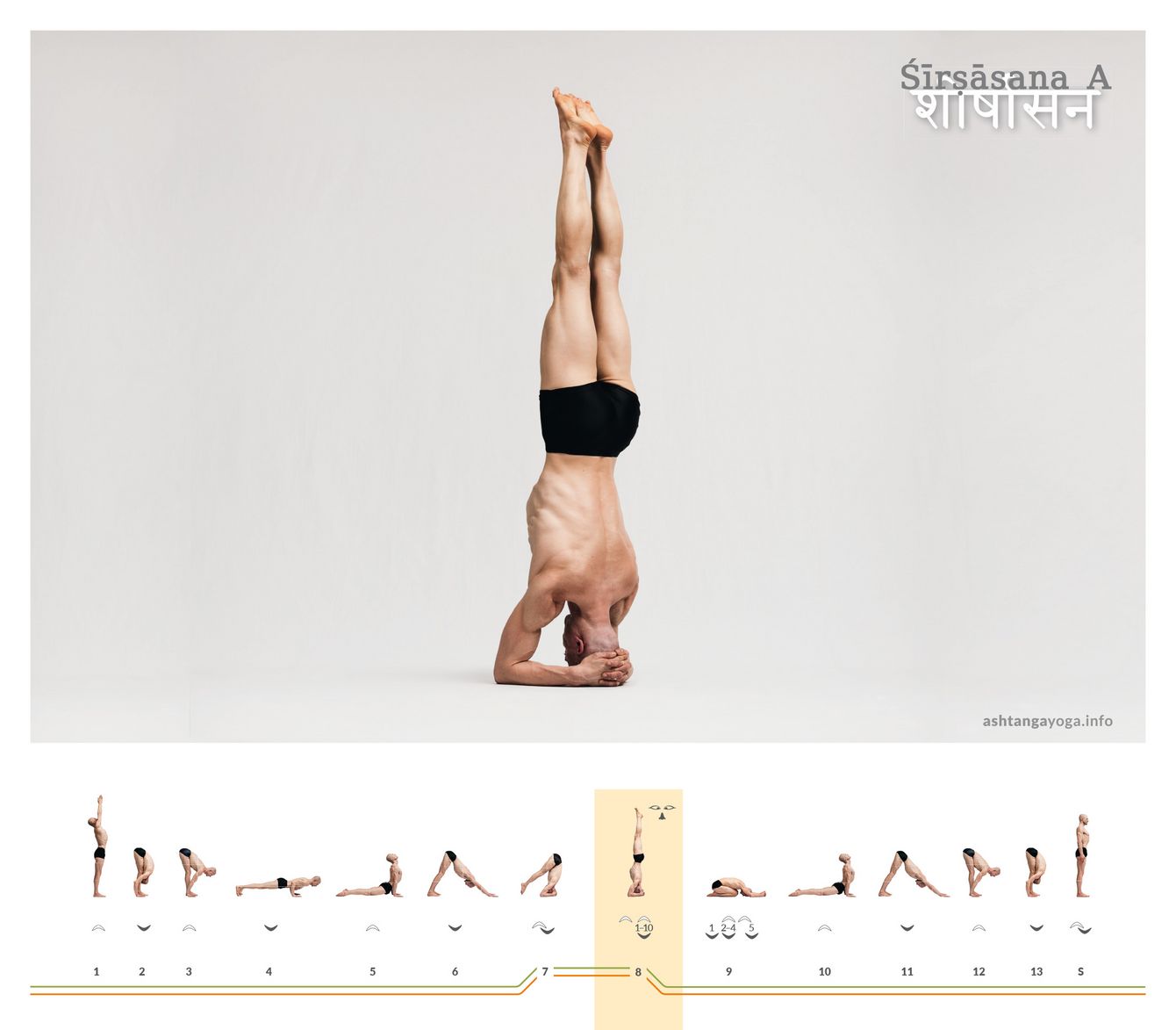 Shirshasana A Der “Kopfstand” ist eine der bekanntesten Haltungen des Yoga. Der ganze Körper wächst senkrecht nach oben, die Hände am Hinterkopf stützen den Kopf - Shirshasana.