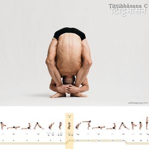 Tittibhasana C