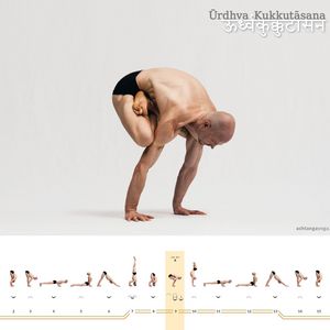 Urdhva Kukkutasana A