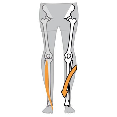 Tibialis Anterior