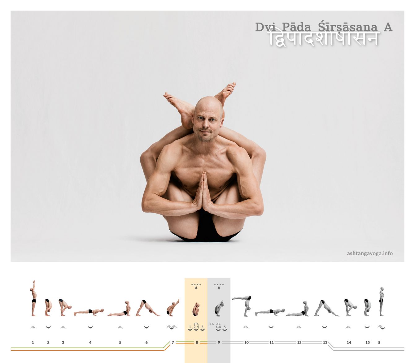 Dvi Pada Shirshasana - Teil 1 Die “Zwei Füße hinter dem Kopf” Haltung wird durch ihren Namen gut beschrieben. Der*die Übende balanciert aufrecht auf seinem Becken und hat die Hände vor dem Herzen vereint - Dvi Pada Shirshasana.