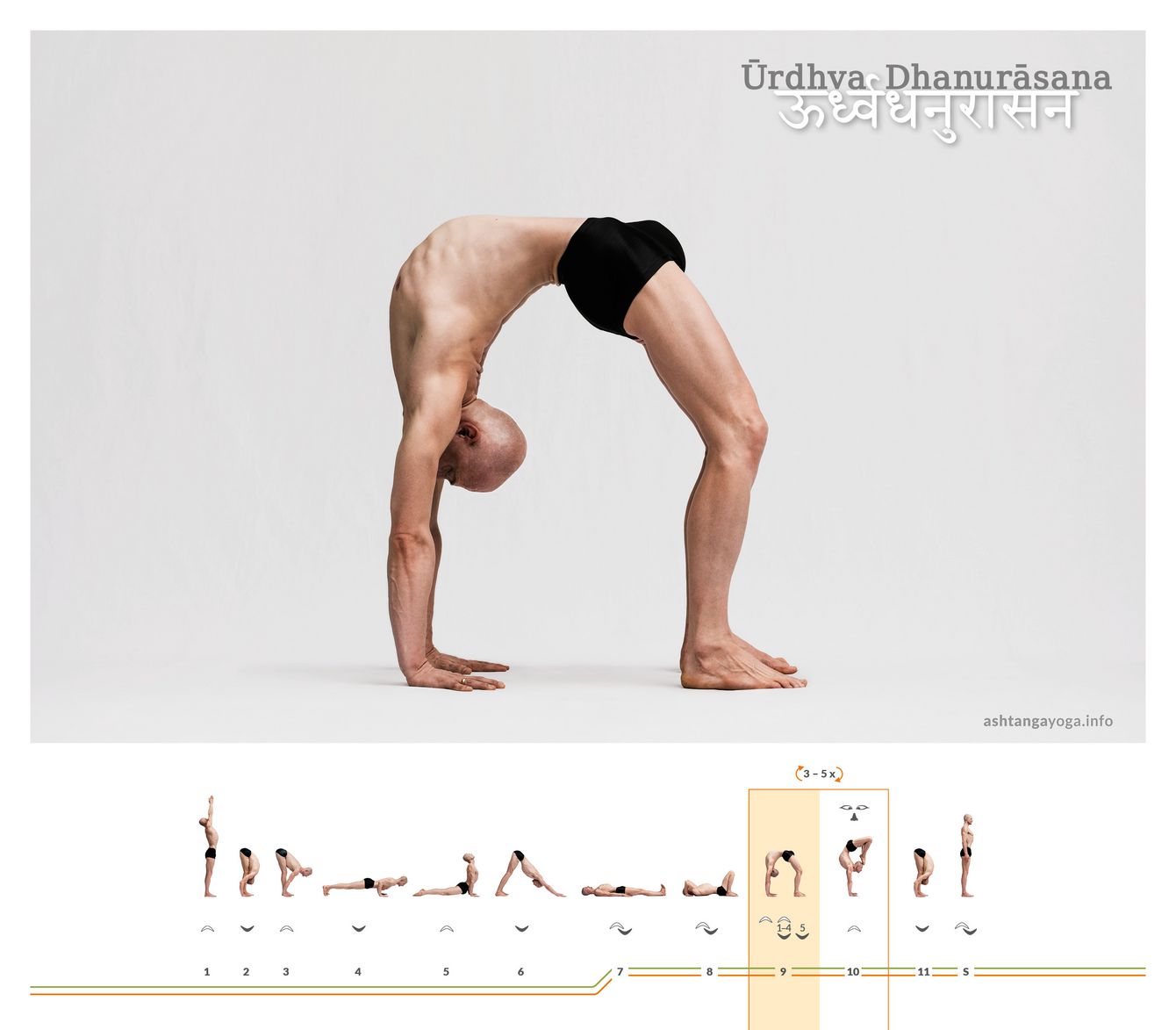 Urdhva Dhanurasana is a backbend with an upward-facing front body, defined only by the touch of hands and feet to the ground - an upward-facing bow.