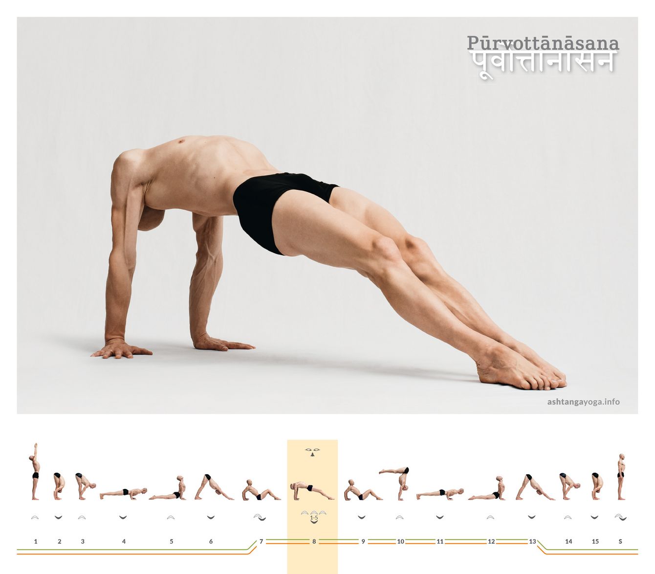 The 'pose to stretch the front of the body' is a powerful, arm-supported posture where the entire front body is stretched and facing upwards - Purvottanasana.