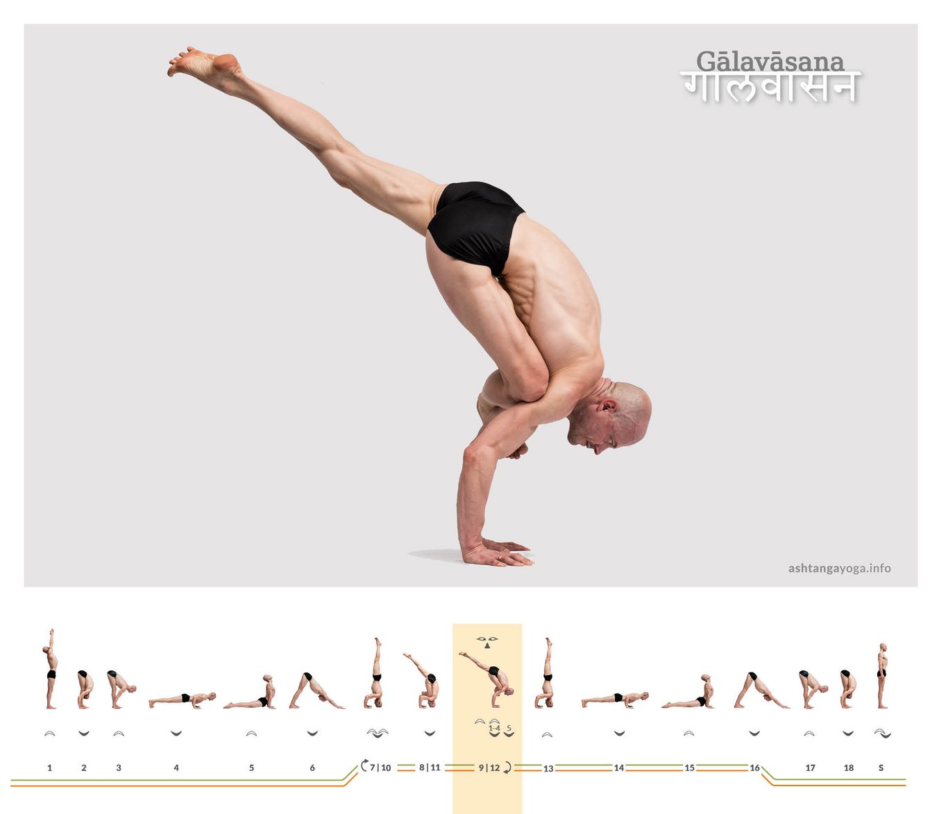 The pose dedicated to Galava, Galavasana, is an arm balance where one shin rests on the upper arms while the other leg extends upward in line with the torso.