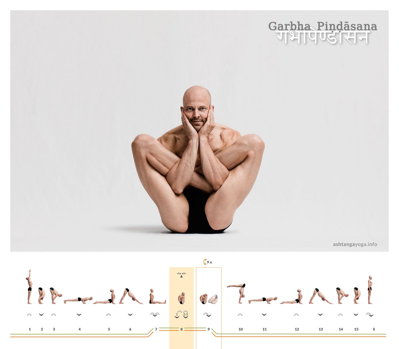 Garbha Pindasana Der “Eingerollte Embryo”, Garbha Pindasana, entwickelt sich aus dem Lotussitz. Die Arme schlüpfen dabei unter den Kniekehlen durch und die Hände halten den Kopf.