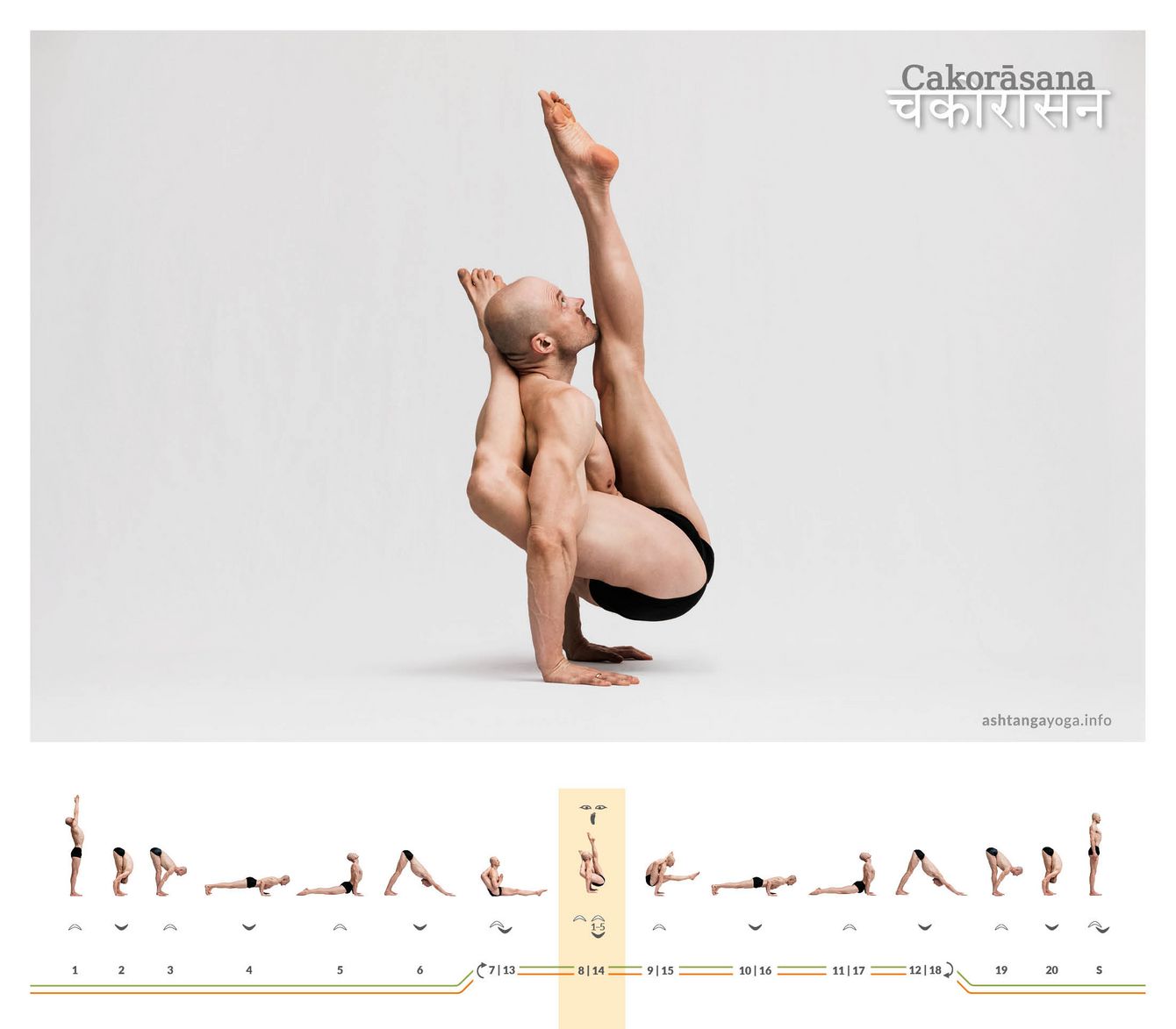 Chakorasana The posture named after the Chakora-bird is an arm balance, with one foot behind the head, and the other leg pointing vertically upwards.