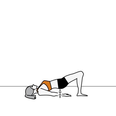 dyniamic  bridge pose