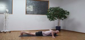 14 Muskelkontraktionsarten