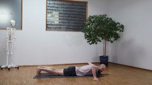 14 Muskelkontraktionsarten