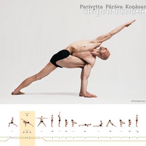 Parivritta Parshva Konasana