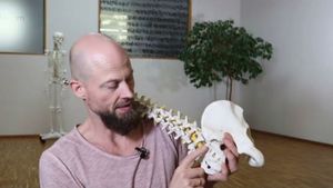 08 Gelenke und Arthrose