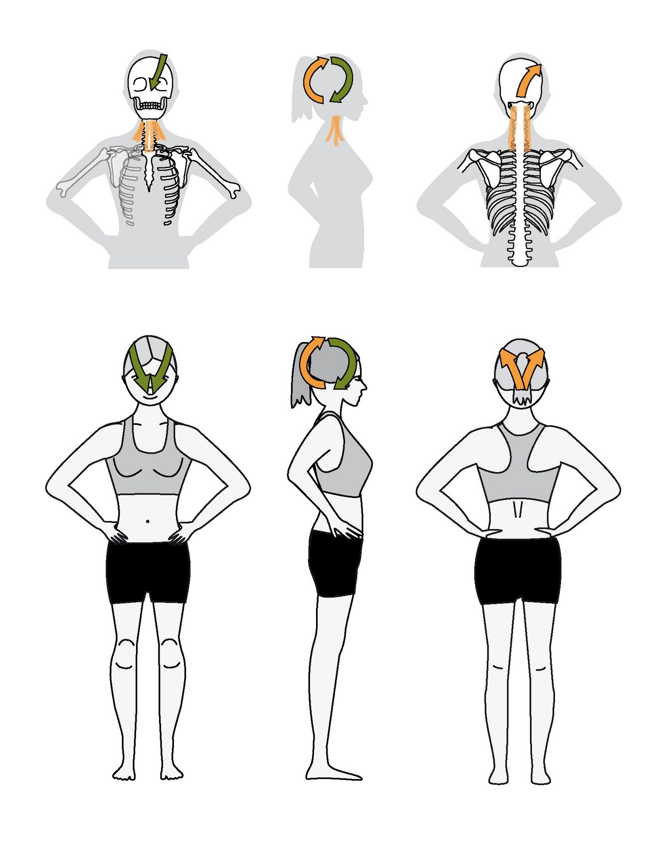 Cervical Spine(CS) Bandhalign® is based on the techniques of bandha described in the old Hata Yoga texts and merges modern findings from the art of alignment. The idea behind this concept is to cultivate balance on every level of your being - physically, psychologically as well as emotionally. From wherever you start - each purposely taken step towards balance draws it's circles in your entire being.