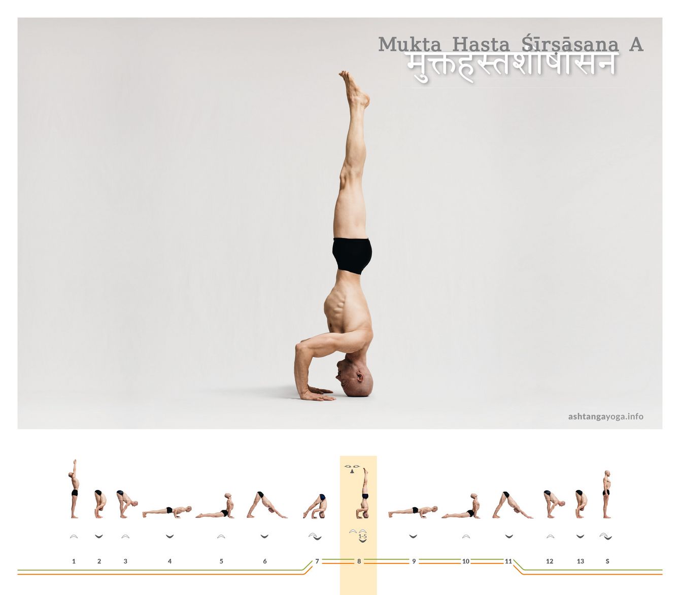 Mukta Hasta Shirshasana A Der “Kopfstand mit frei stehenden Händen” ist ein Kopfstand mit den Handflächen am Boden. Hände und Kopf bilden ein gleichseitiges Dreieck. Die Ellenbogen sind rechtwinklig gebeugt. - Mukta Hasta Shirshasana.